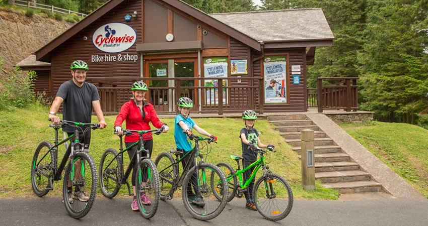 Whinlatter Forest