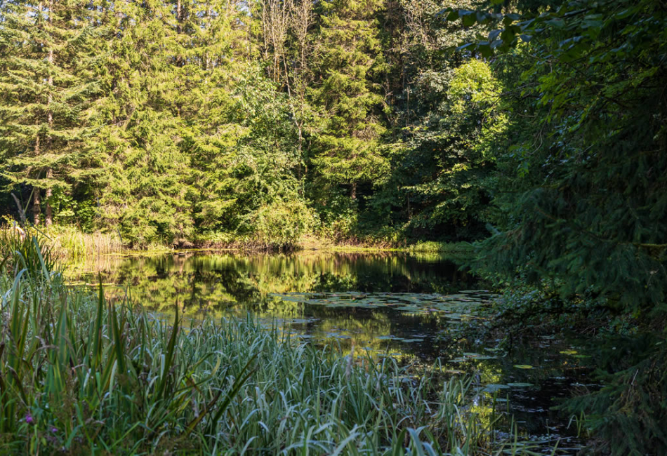 ellerbeck-park11