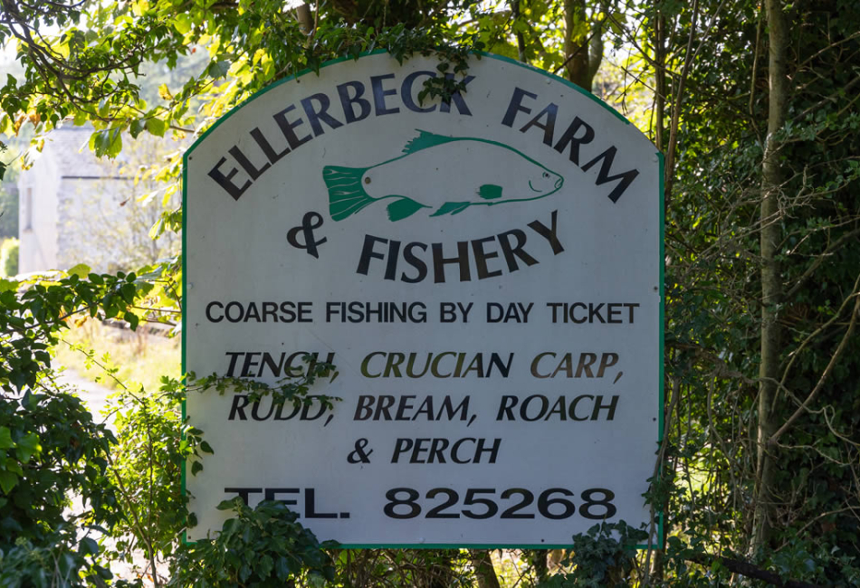 ellerbeck-park13