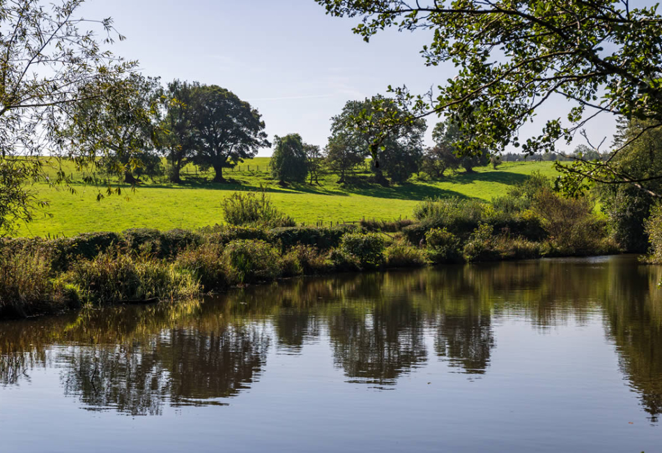 ellerbeck-park15