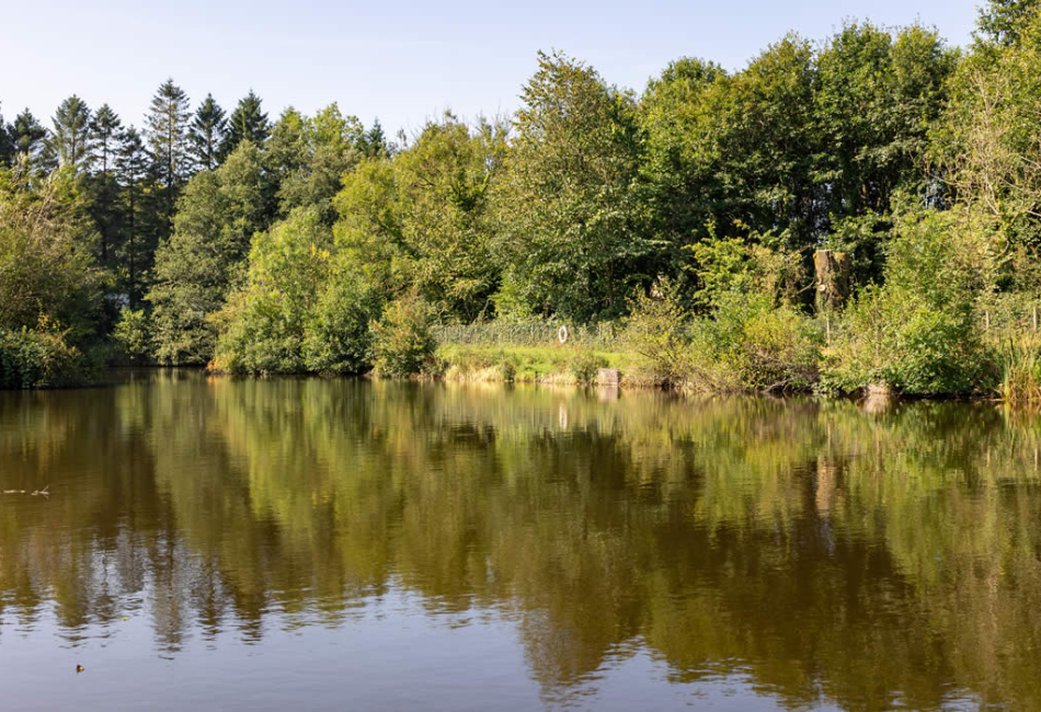 ellerbeck-park16