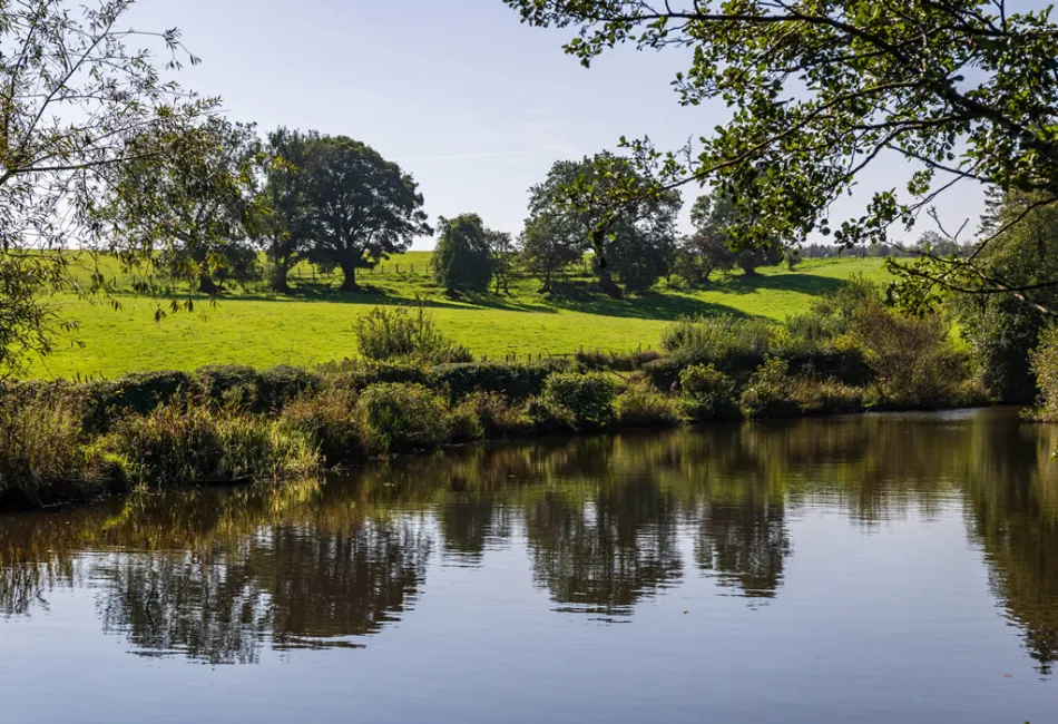 Ellerbeck park Cumbria